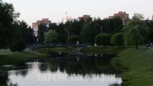 ПОЙМАЛ ЖЕНУ НА ИЗМЕНЕ - НЕОБЫЧНОЕ РАЗОБЛАЧЕНИЕ. Истории из жизни людей Аудио рассказы слушать онлай