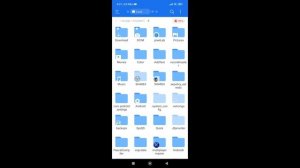 Как сохранить самоуничтожающиеся фото в Telegram с android | How to save self-destructing photos?