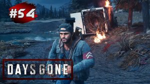 DAYS GONE (Жизнь После) ➤ Прохождение # 54 ➤ Зачистка Гнезд | Засадный Лагерь на жд Каскейд Лейд