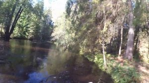 река Рощинка