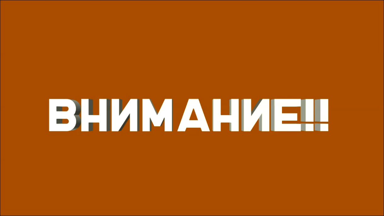 A.V.G