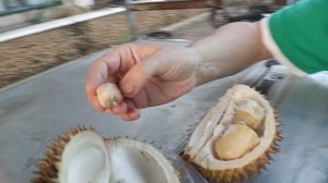 Купили самый вонючий фрукт-Дуриан!На улице его и съели!