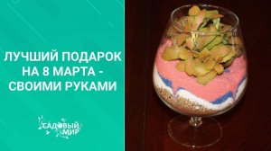 Флорариум - лучший подарок своими руками. Как создать и ухаживать за флорариумом.