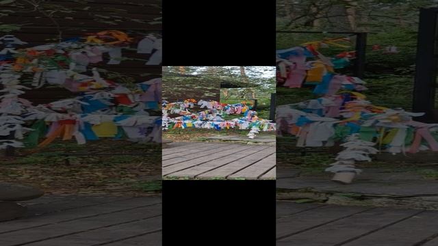 Горный алтай