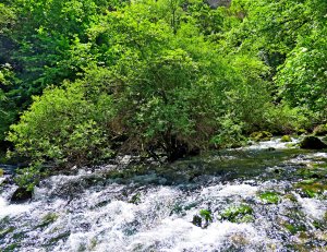 Бушующие воды реки Биюк-Карасу.
