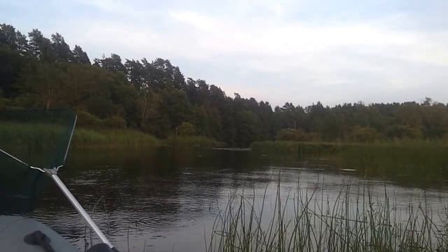 Необычная встреча на реке смотреть онлайн