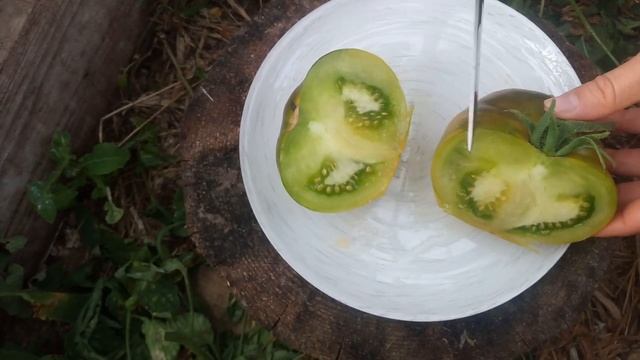 Томат "Сахар зелёный" смотреть онлайн