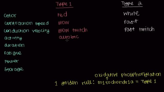 Type 1 and type 2 muscle fibers | Muscular-skeletal system physiology | NCLEX-RN | Khan Academy