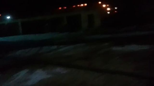 Дэнни Бультерьер Стая собак нападает на нас смотреть онлайн