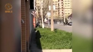 РАМЗАН КАДЫРОВ