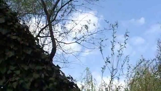 Rock Filarmonica Oradea - W. Shakespeare, Sonnet 34 смотреть онлайн