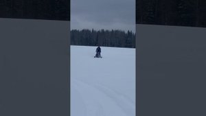 Снегоход Wind 320 по пухляку