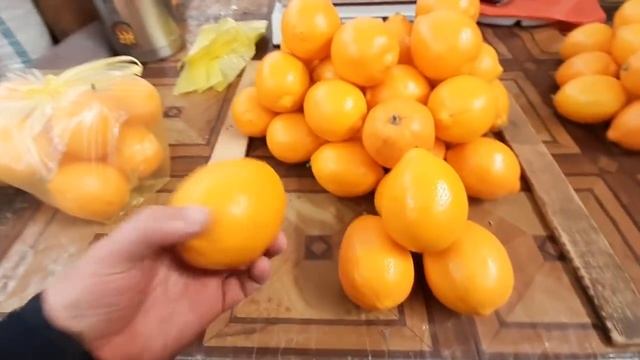 Панчшанбе базар khujand имруз нархои орд гуш равган хама чиз дар бозор фаровон Tajikistan смотреть онлайн