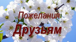 Друзьям красивые пожелания. Весеннее приветствие для друзей!