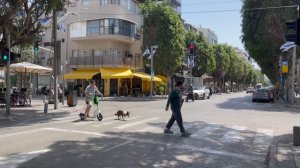 ПРОГУЛКА ПО ТЕЛЬ-АВИВУ // WALKING IN TEL AVIV