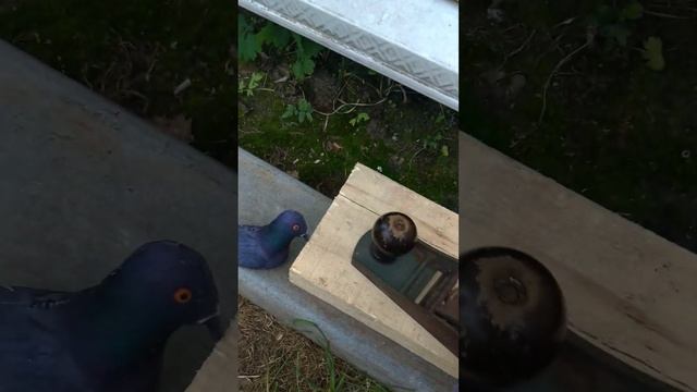 поделки из дерева смотреть онлайн