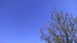 "212 "Макеевка Моя антенна Фукса 42м на даче