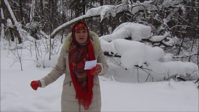 Лучше погадаю. Анастасия Царегородцева.