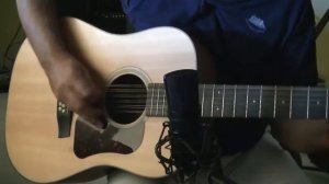 Walden D552 12-string guitar blues