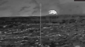 Охота на кабана 2023 г. Тепловизионный прицел Arkon Alfa LT35. Зоопарк в объективе прицела