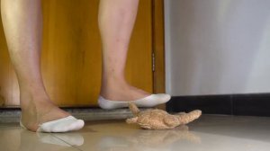 teddy trample