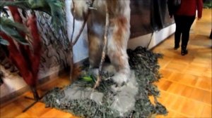 Выставка "Движущиеся гиганты" в Братске