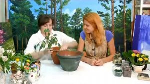 Рубрика "Большая стройка Лайт": пот-э-флер или цветущий горшок