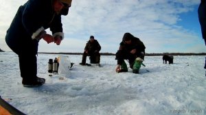 РЫБАЛКА АСТРАХАНЬ ЗАВОЛЖЬЕ АВАЛОН 2017 год