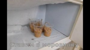 Акция добрых дел. Кормушки с салом для птиц. 1 часть