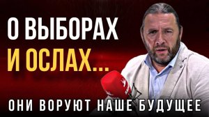 "О ВыбОРАХ и ОСЛАХ". Максим Шингаркин