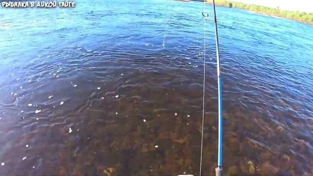 Вот это рыбалка / Приехали на реку, а там жор хариуса / Только крупняк смотреть онлайн