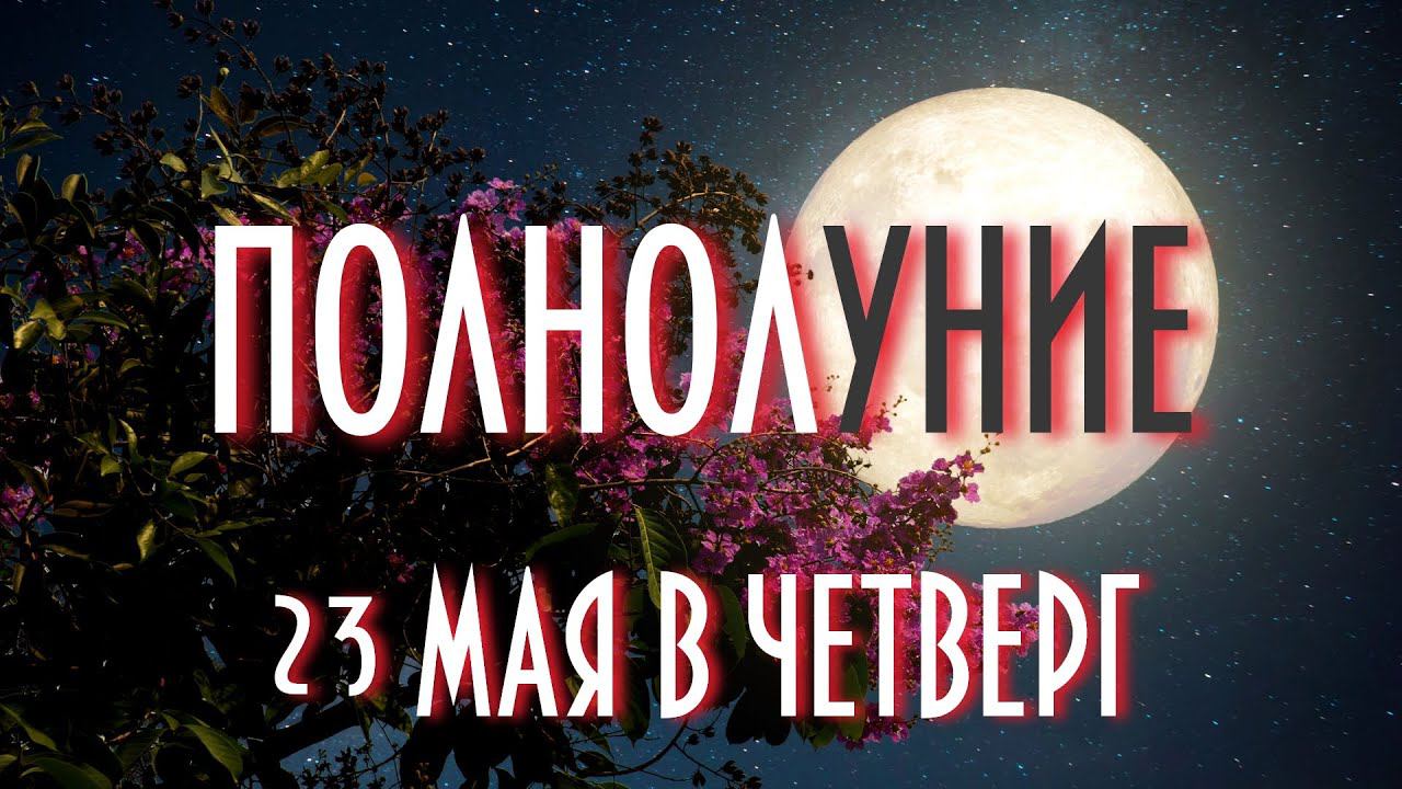 ПОЛНОЛУНИЕ, 23 МАЯ В ЧЕТВЕРГ #таро #полнолуние #магия