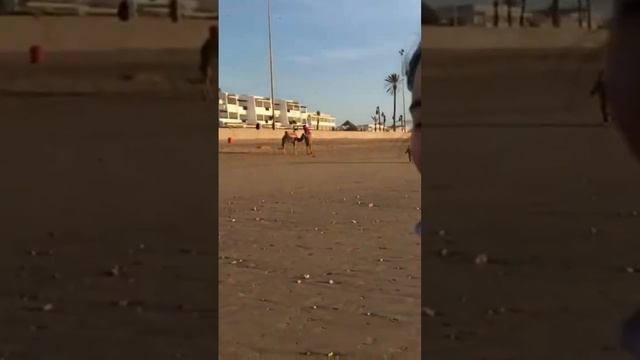 #morocco #agadir #beach #ocean #girl  #camel #sand #wind #maroc #марокко #агадир #верблюды #океан