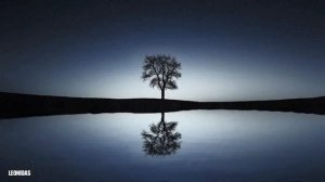 Deuter -  Endless Horizon (New Age & Relax Music )