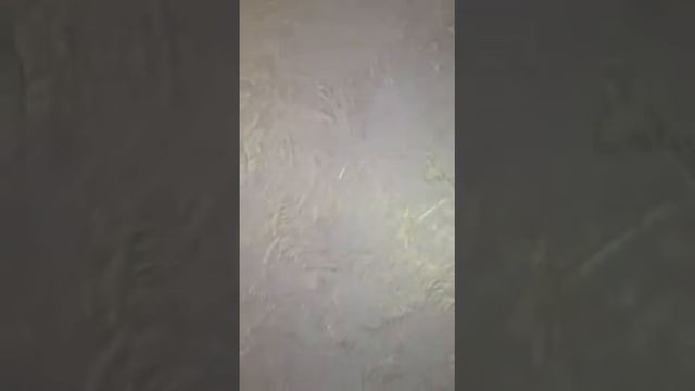 Леонардо Bauramix от мастера в Усть Каменогорске смотреть онлайн