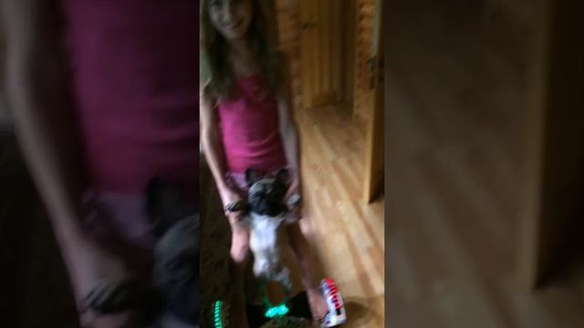 Гироскутер и французик смотреть онлайн