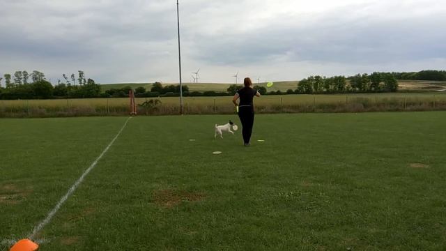 AWI Qualifier Austria'17 Gyorgyi & Blizzard R2.mp4