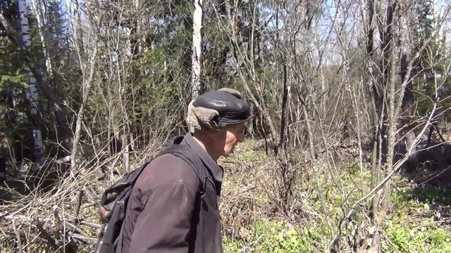 В тайгу за колбой!!! смотреть онлайн