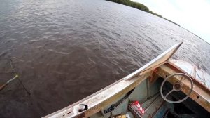 УДАЧНАЯ РЫБАЛКА НА АМУРЕ. ЛОВ ЖЕЛТОЩЕКА И ВЕРХОГЛЯДА на блесну фирмы "Cargo"