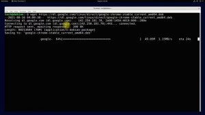 How to Install Chrome on Debian 11 Bullseye | Chrome Browser Debian 11 | Google Chrome Debian 11