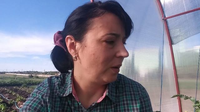 Весь день в теплице и огороде 17 05 2020 смотреть онлайн