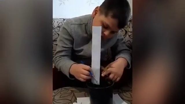 Выращивание экзотических плодовых растений из косточек в домашних условиях (личи и авокадо) смотреть онлайн