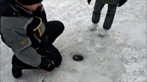 Поимки форели и не только её. Клёвое место.