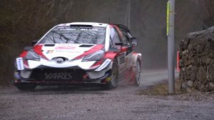 Yaris WRC: Mistrzostwo Świata w kategorii producentów.