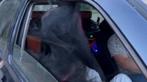 хейртрик DL Phoenix Bass Machine 15 в количестве 4 штук и двух моноблоков грифон 1.3200