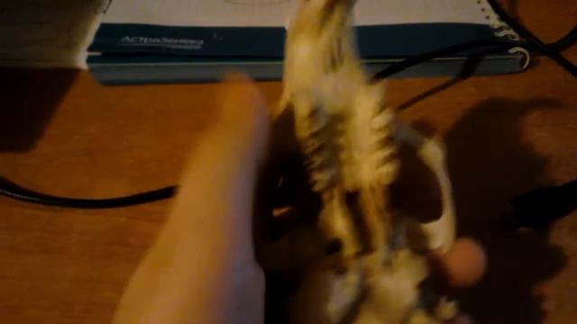 Череп(скелет) Сурка смотреть онлайн