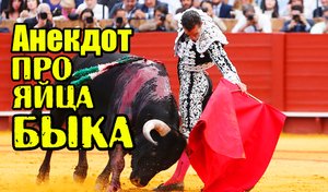 Анекдот про Яйца Быка. Смешной анекдот дня.