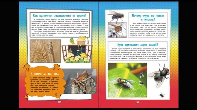 Что? Зачем? Почему? Растительный и животный мир 1 смотреть онлайн