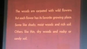 vintage filmstrip: Wild Flowers Everyone Should Know