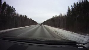 Свинья выпадает из багажника на скорости 100 км/ч (Н. Тагил)